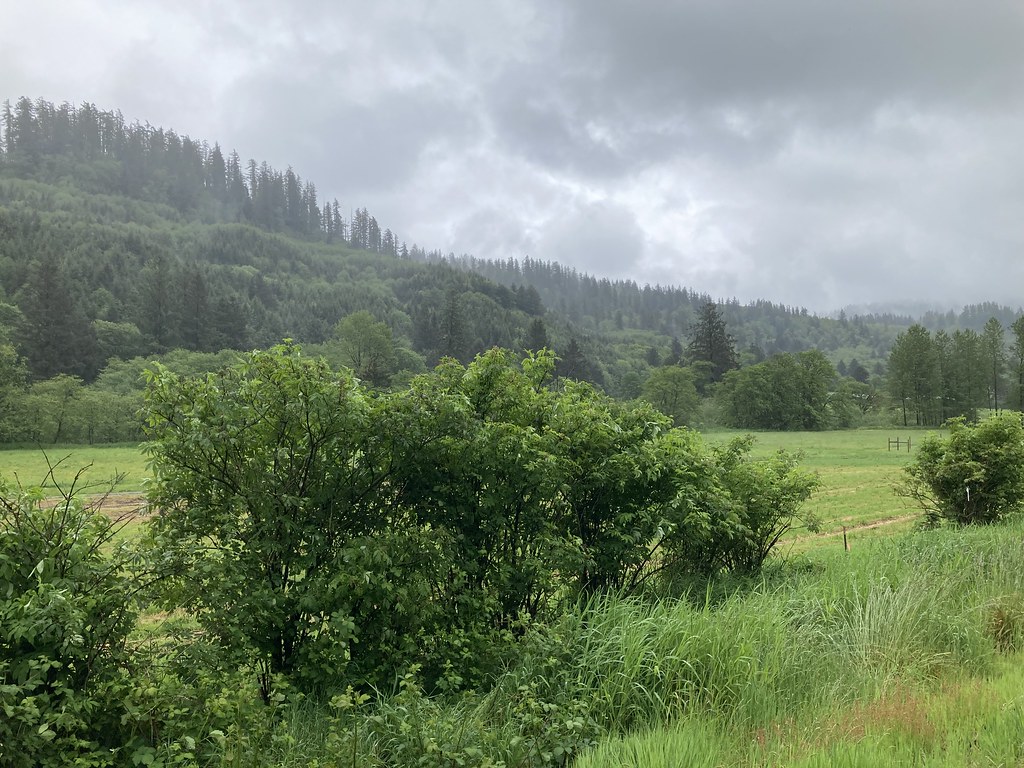 OR Tillamook County Hebo Along Highway 101 scott185 (the