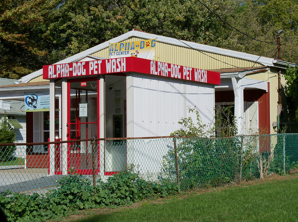 OH Amherst Alpha Dog Pet Wash Alpha Dog Pet Wash in Amhe… Flickr