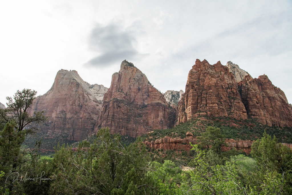 05 28 22 Zion (160 of 211) Patriacrhs Michael Harbour Flickr
