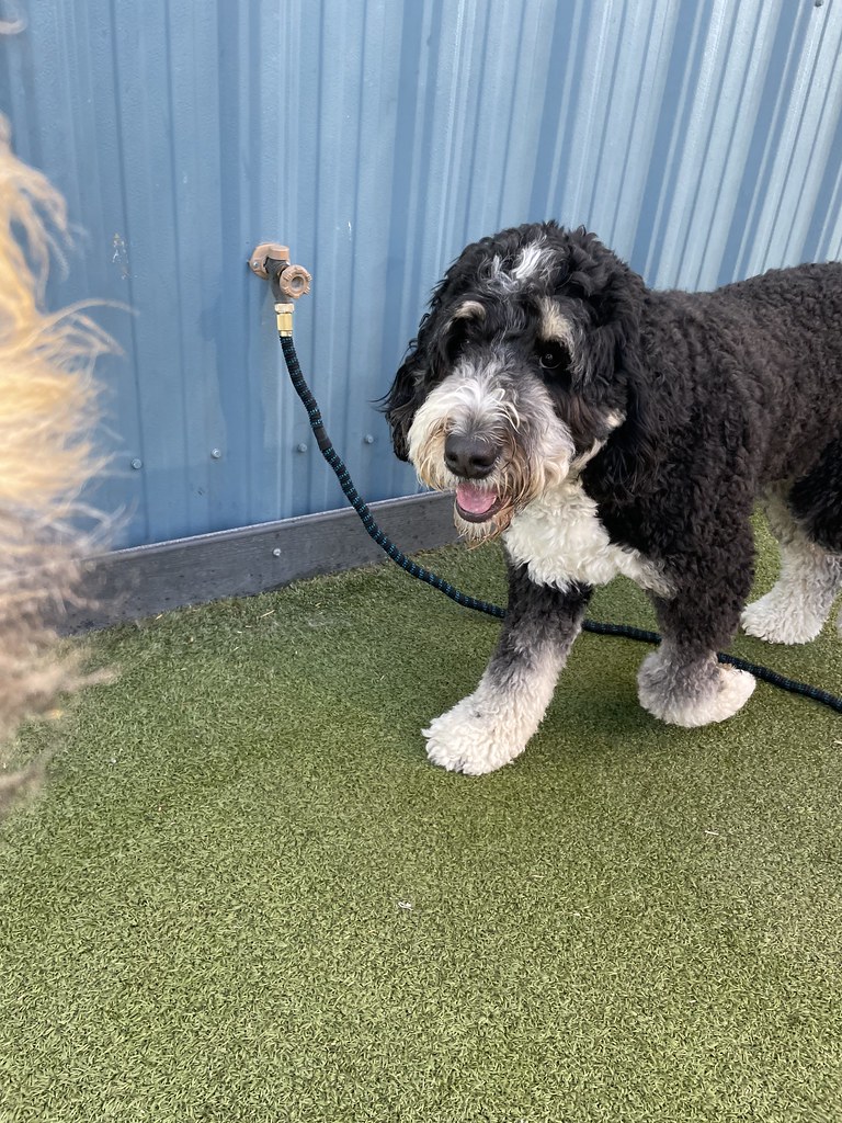 Untitled Greenlin Camp Hill Flickr