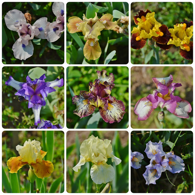 Flickriver Most interesting photos tagged with exclaim