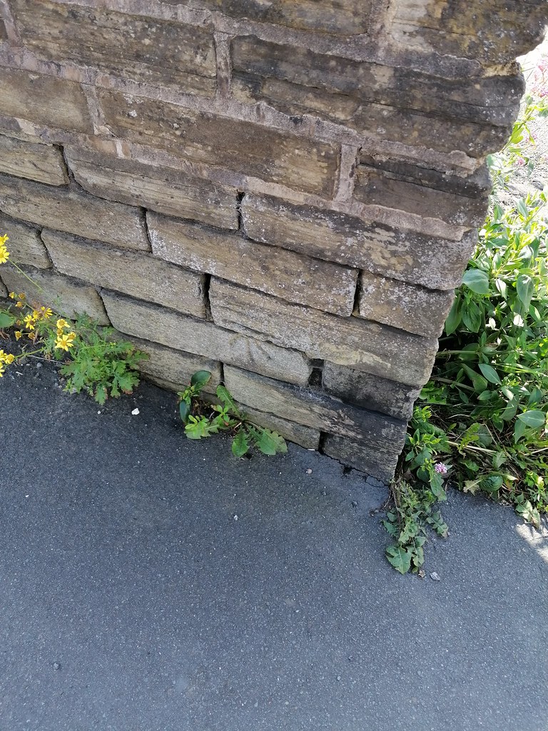 Brighouse, Clifton Common Kim Fallows Flickr