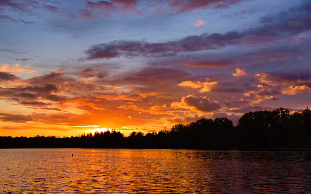 Deer Lake Scene 1 Great colors at Deer Lake, Burnaby. Thomas