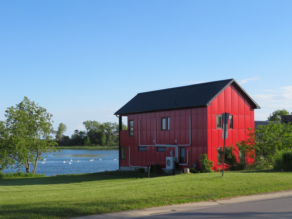 Swans swimming in the lake, near to our Airbnb One of six … Flickr