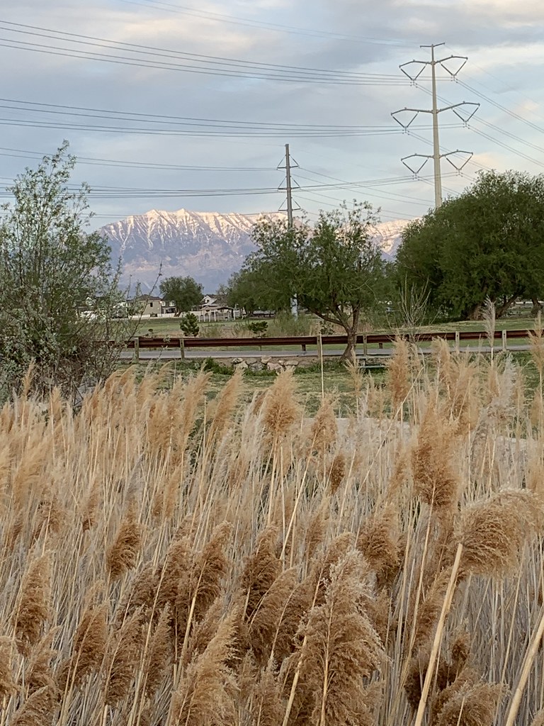 Willow Park, Lehi, UT amy_em Flickr