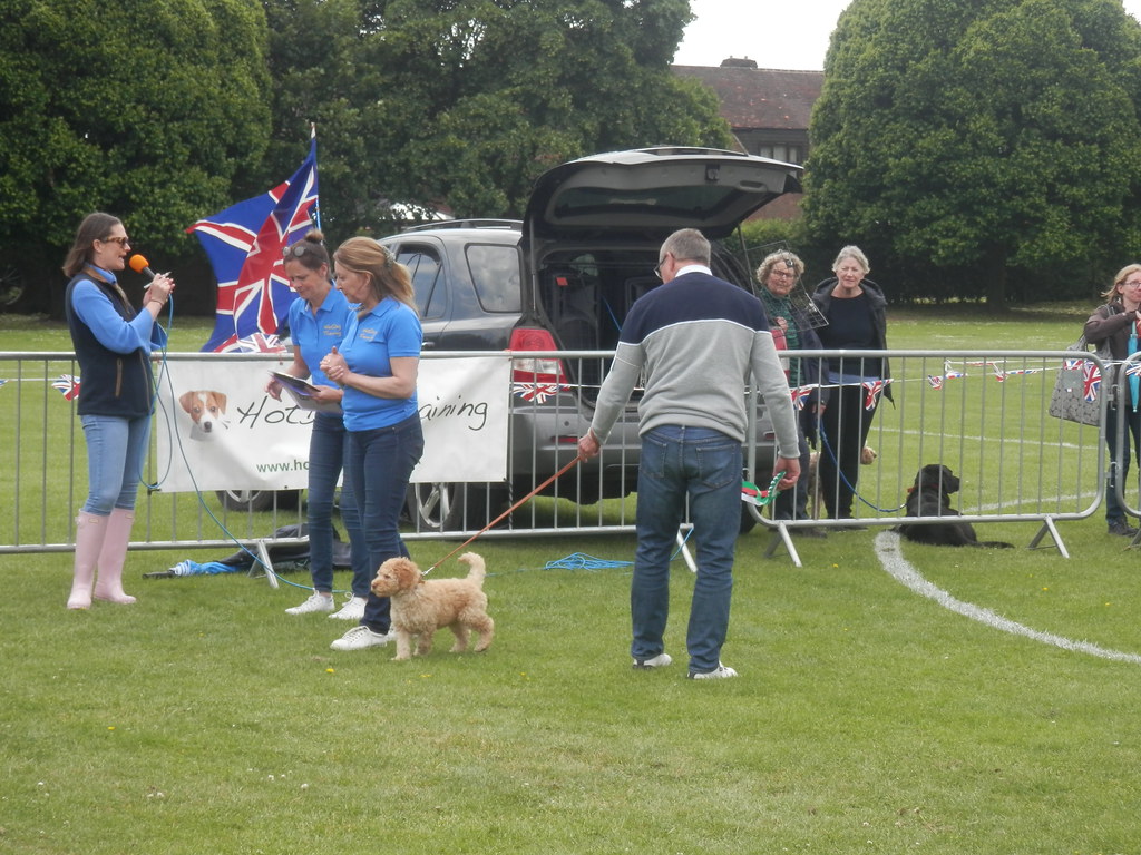 Great Missenden Fete dog show Katherine Shaw Flickr
