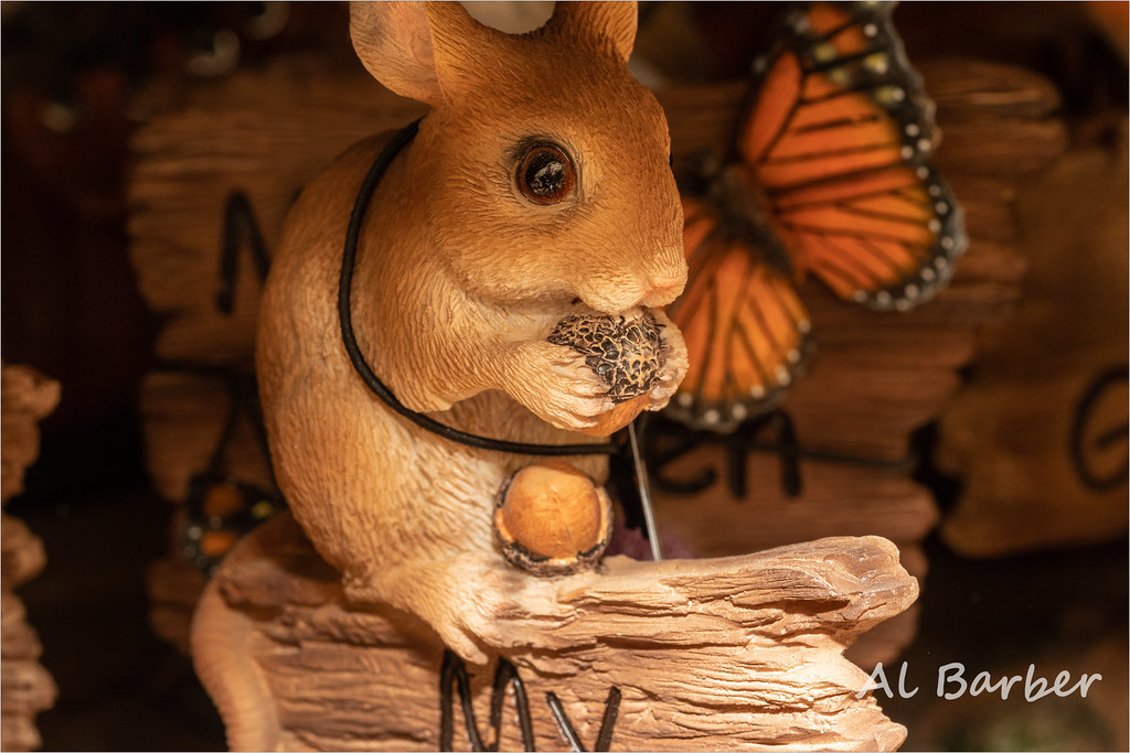 ACW Garden Centre, Bradford 070622 OLYMPUS DIGITAL CAMERA Flickr