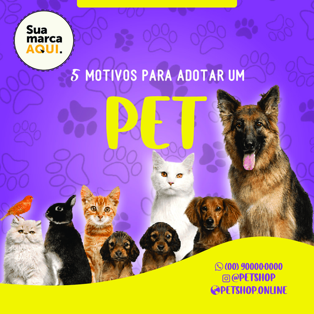 Mostruário Pet Shop 5 Mostruário Feed Pet Shop Flickr