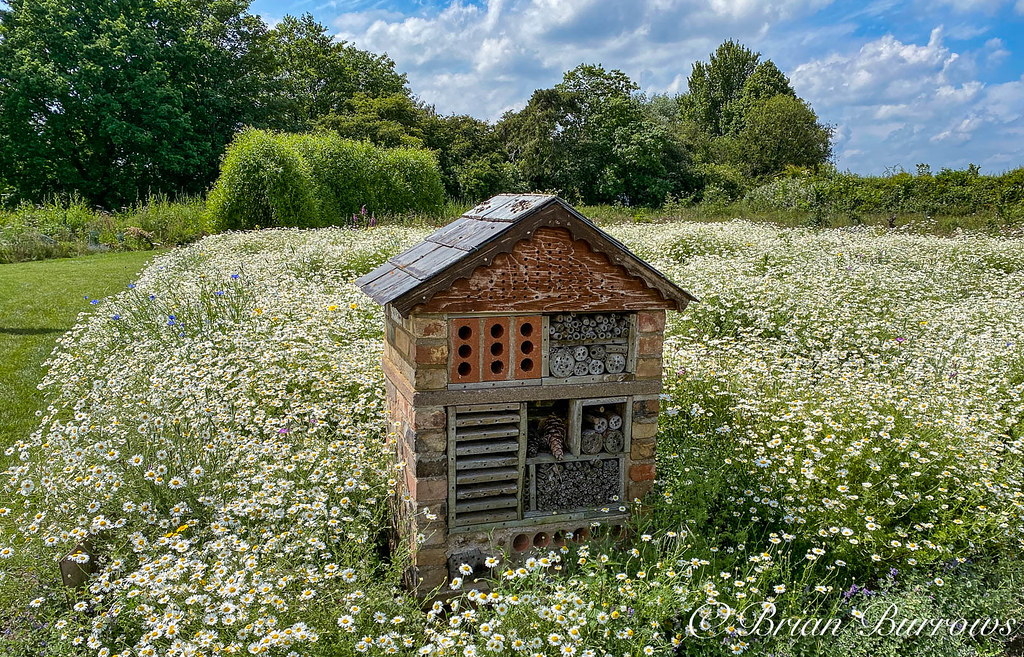Bug House Vine House Farm at Deeping St.Nicholas Brian Burrows Flickr