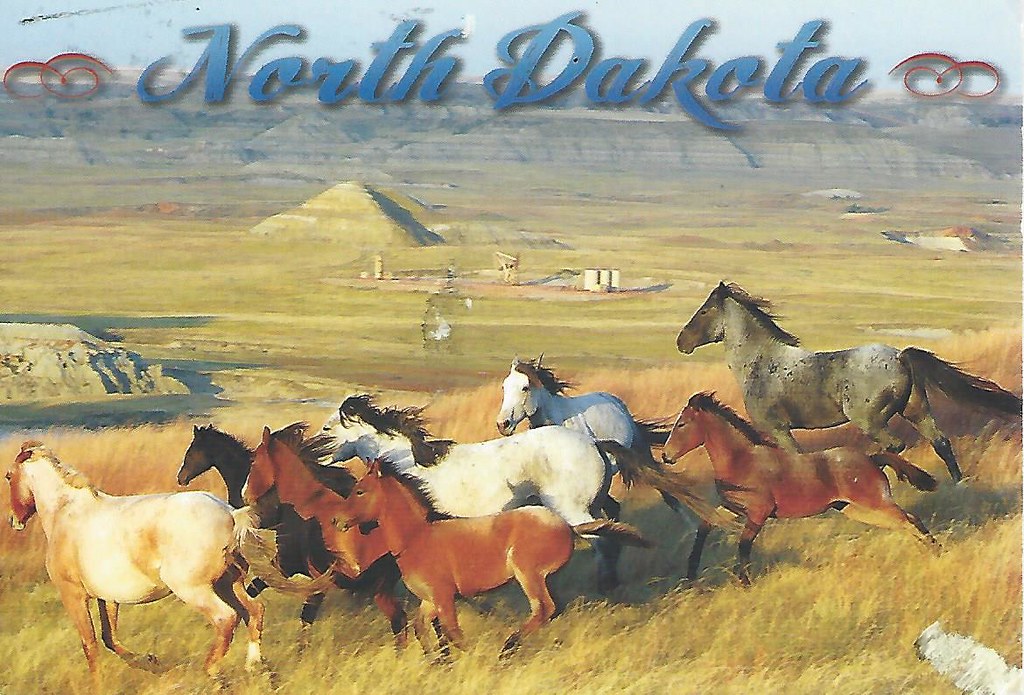North Dakota Horses "Pump jacks" oil rigs in the backg