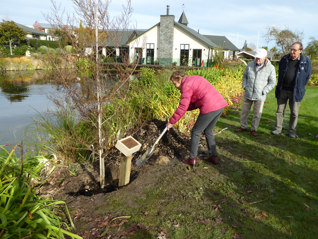 P1020806 Ian HullBrown Flickr