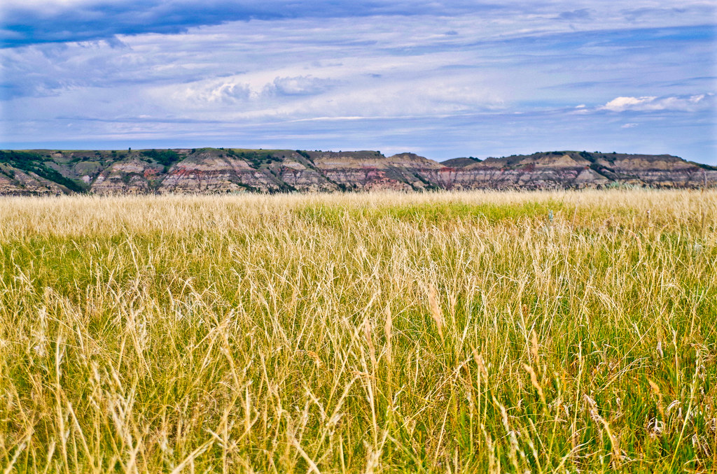 Wild Grasslands, Theodore Roosevelt National Park ND Flickr