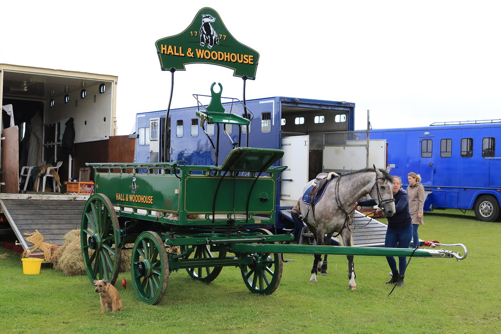 Hall and Woodhouse's Badger brewery dray South of England … Flickr