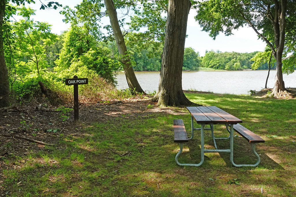 Bohemia State Park and a Ride along the C&D Canal June 10, 2022 Flickr