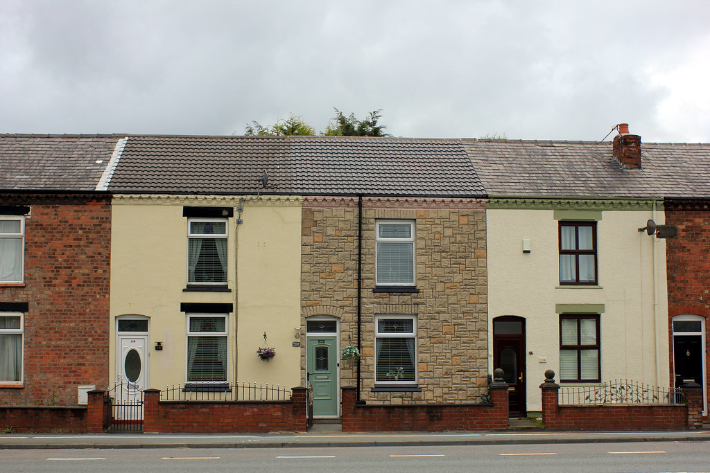 Goose green.Wigan. Flickr