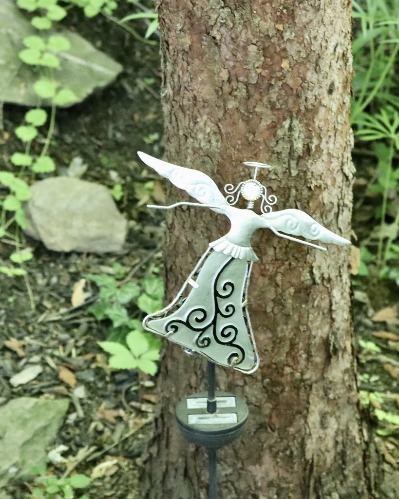 IMG_0351 garden tree ornament Ed Jewett Flickr