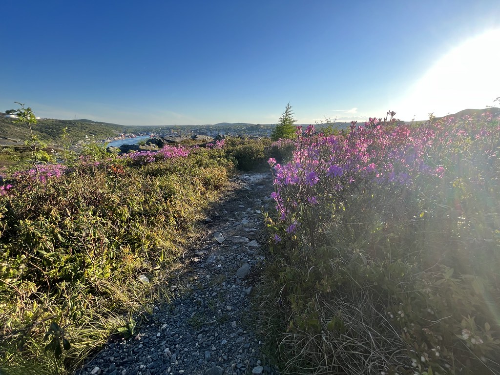 Gibbet Hill Like_the_Grand_Canyon Flickr