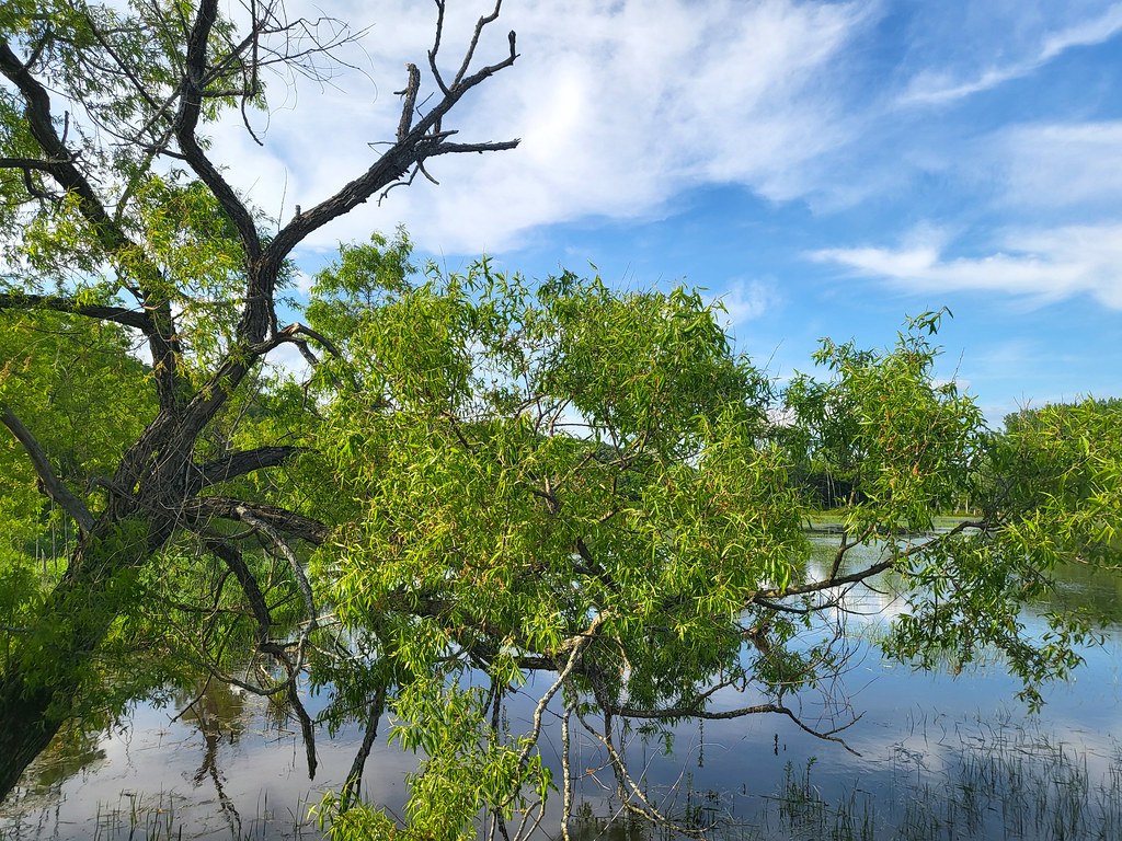 20220525_175015 May, Westminster Vermont USA Putneypics Flickr