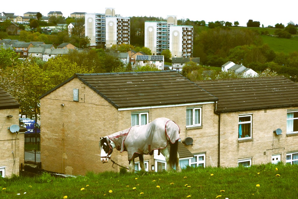 Holmewood Estate, Bradford Yorkshire. England. Paul Austin Murphy