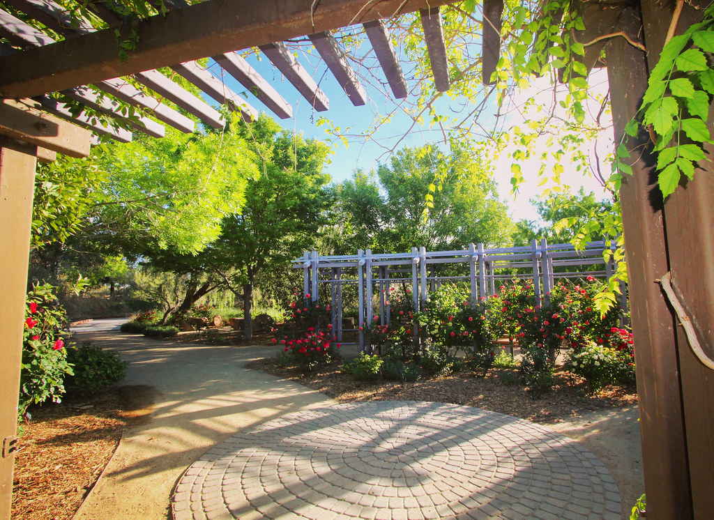 Springs Preserve Garden Renee Grayson Flickr