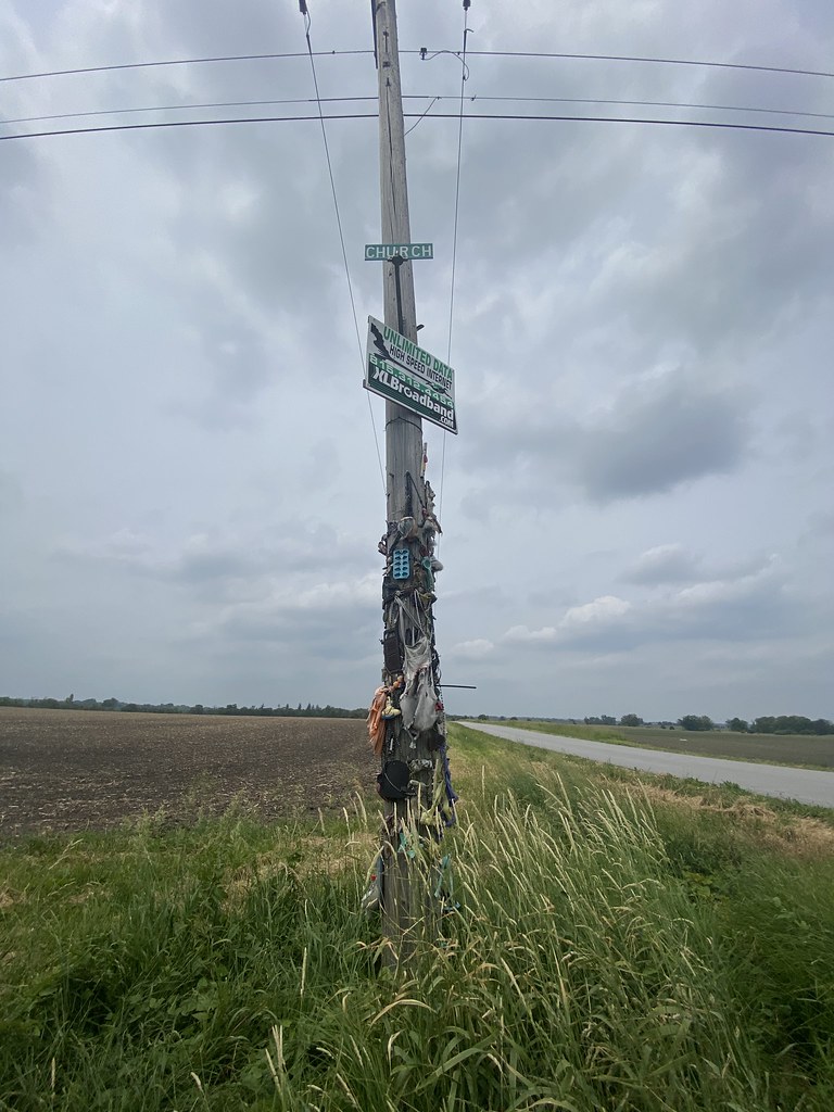 God is a Bullet +. Concrete Blonde Nancy Saller Flickr