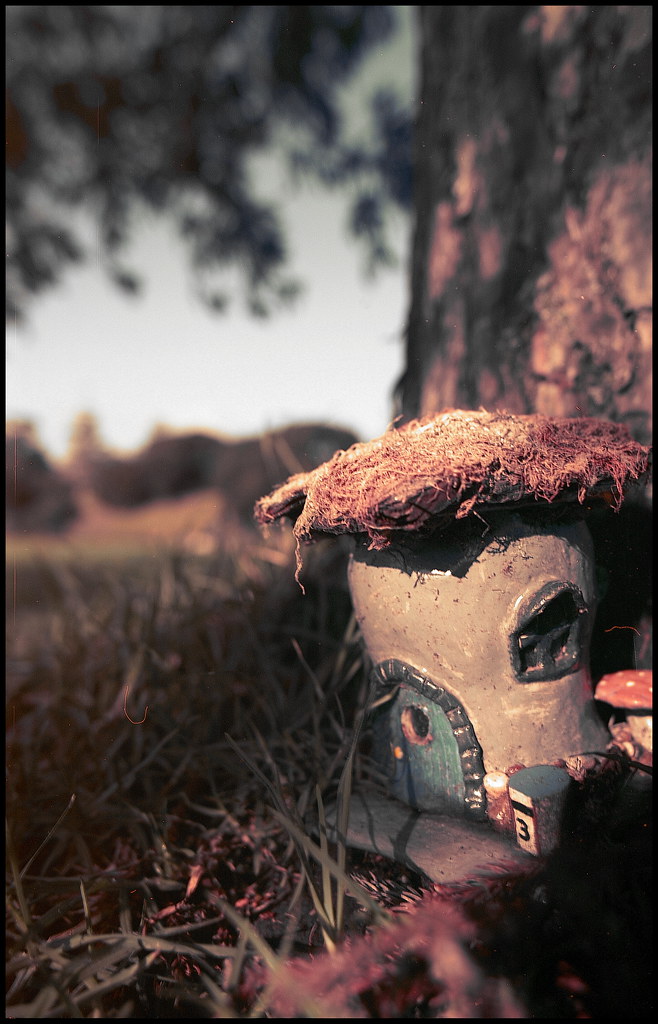 Fairy Works Fairy Houses Onekiritea Park Hobsonville Auc… Flickr
