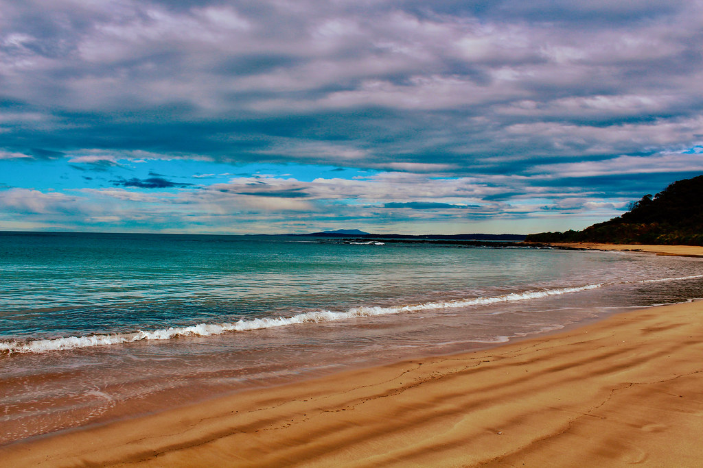 Shark Bay, Broulee Rozanna Lilley Flickr