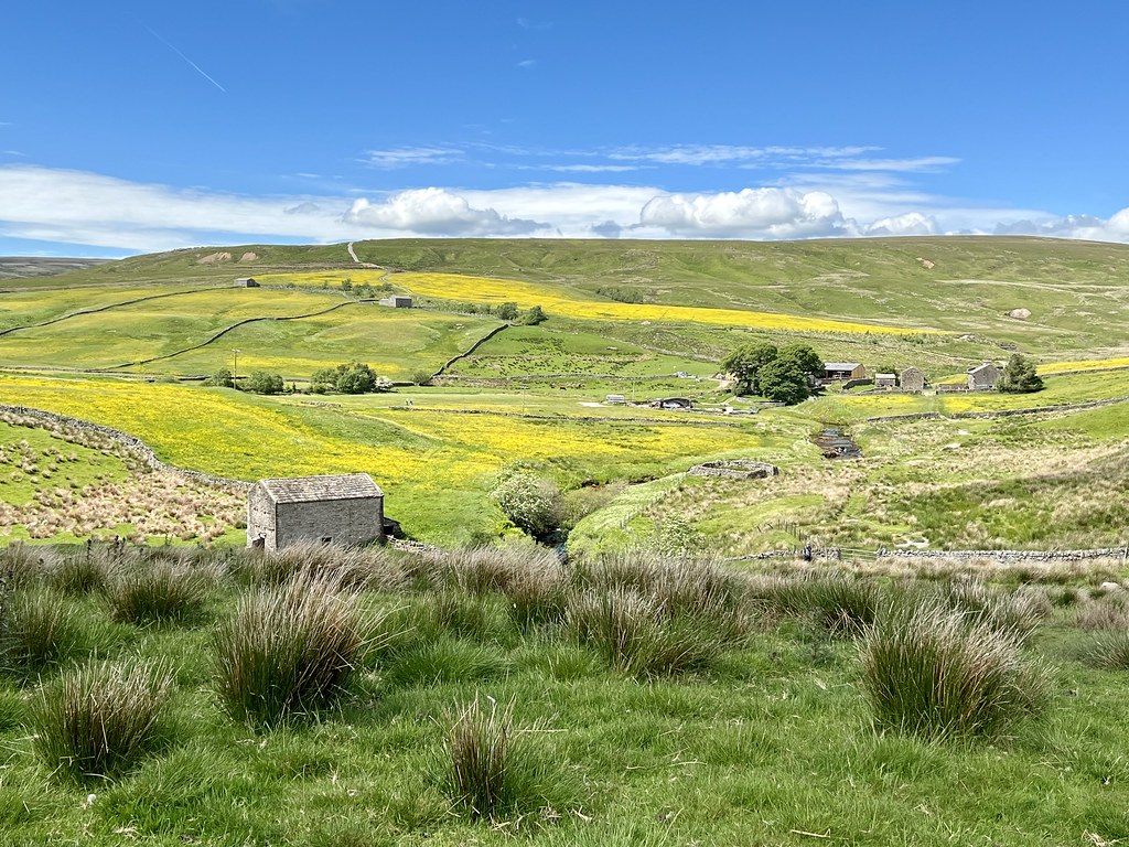 Barns and buttercups near Ravenseat farm Derek Law Flickr