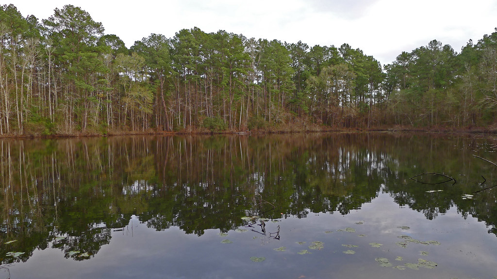 2017.01 TX Big Thicket Big Thicket National Preserve Texas… Flickr