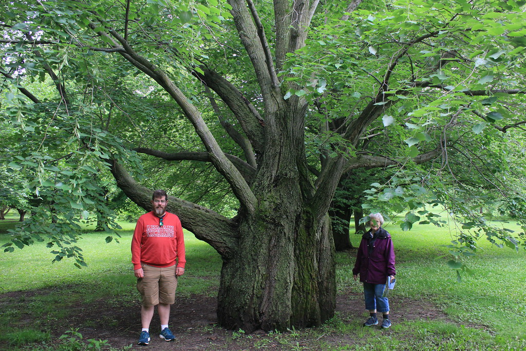 Arboretum in Madison, Wisconsin 642022 Flickr