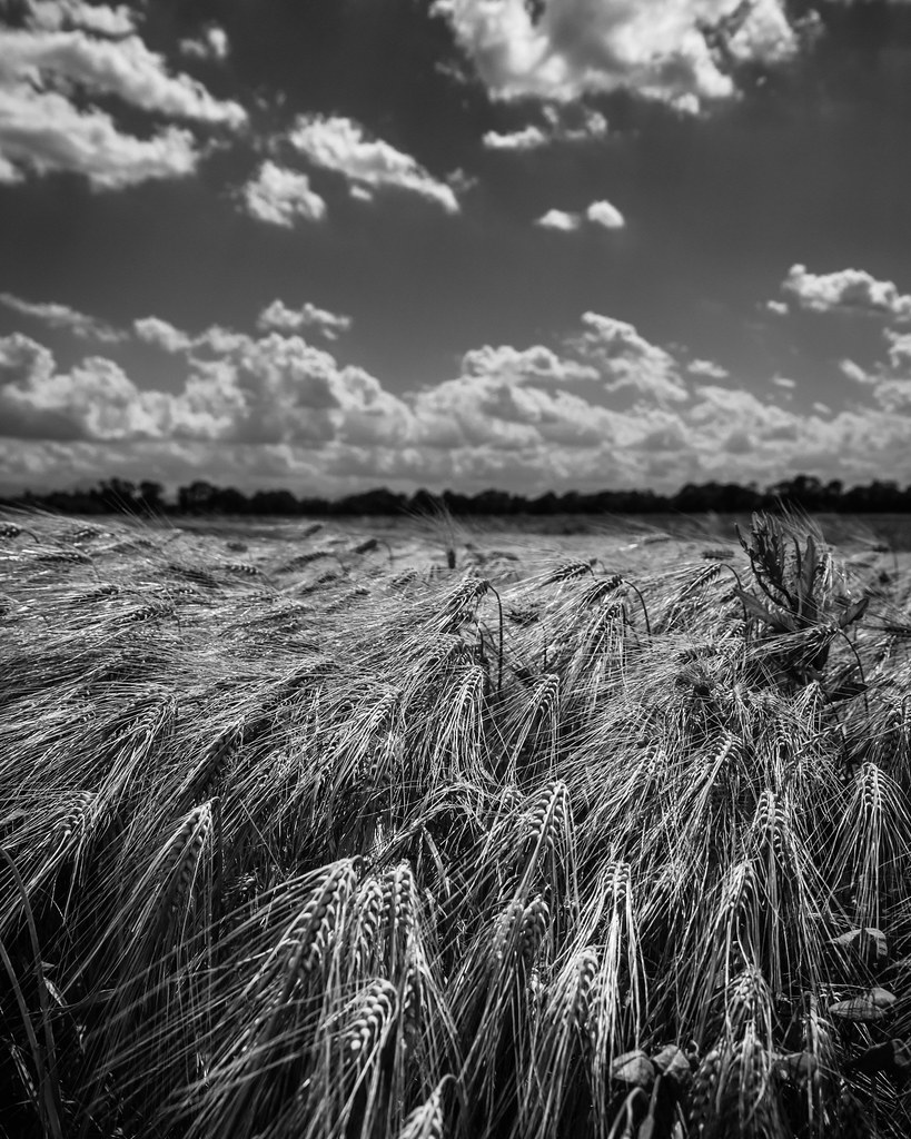 Cloudscape Series Gotan Da Flickr