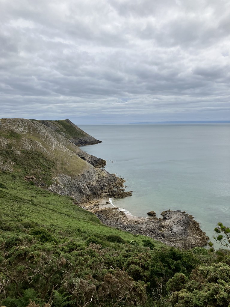 From West Cliff looking towards East Cliff, Southgate Gowe… Flickr