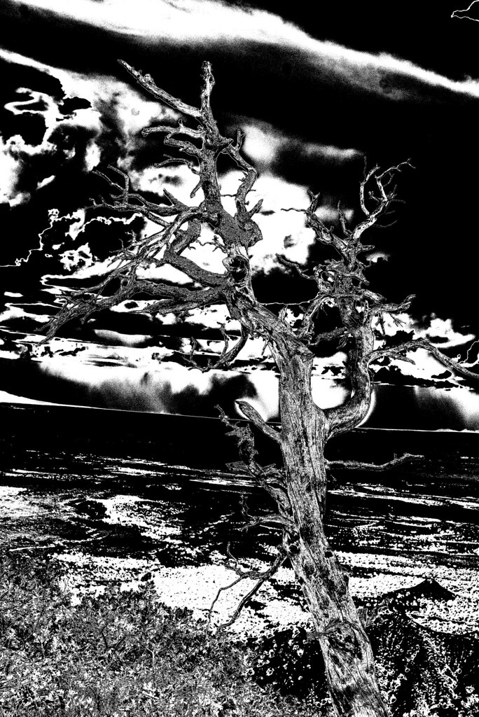 _MAC0057 Marc Chauvin Flickr