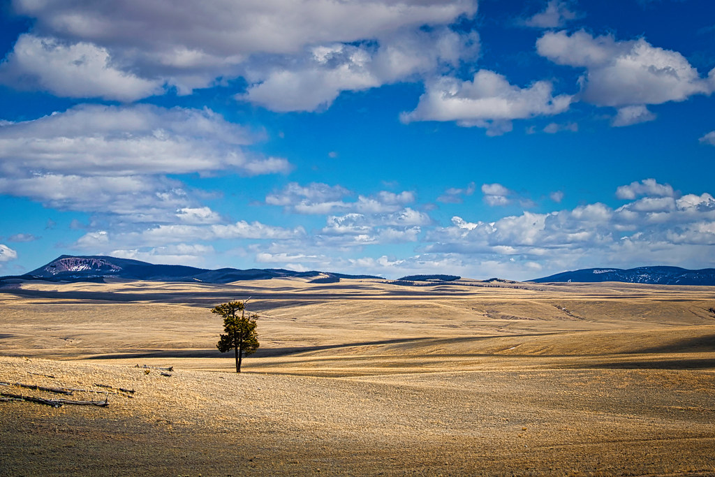Aspen Ridge Colorado Chad Collver Flickr