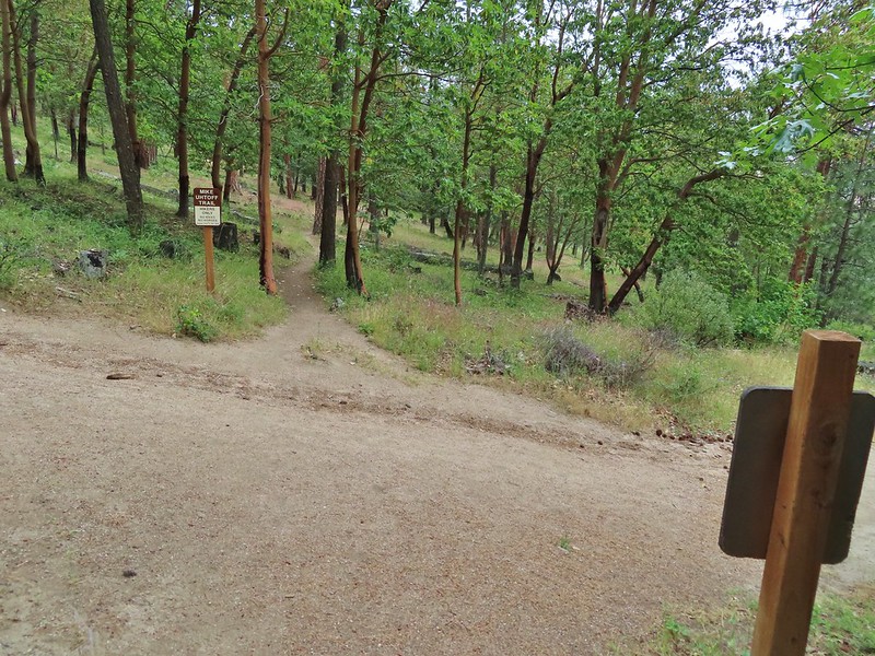 Bandersnatch & White Rabbit Trails wanderingyuncks