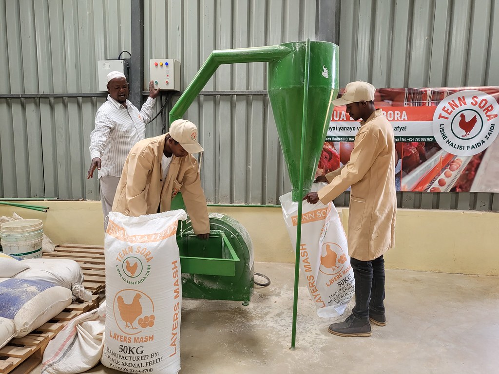20220621_135842 Moyale Feeds Kenya Livestock Market Systems