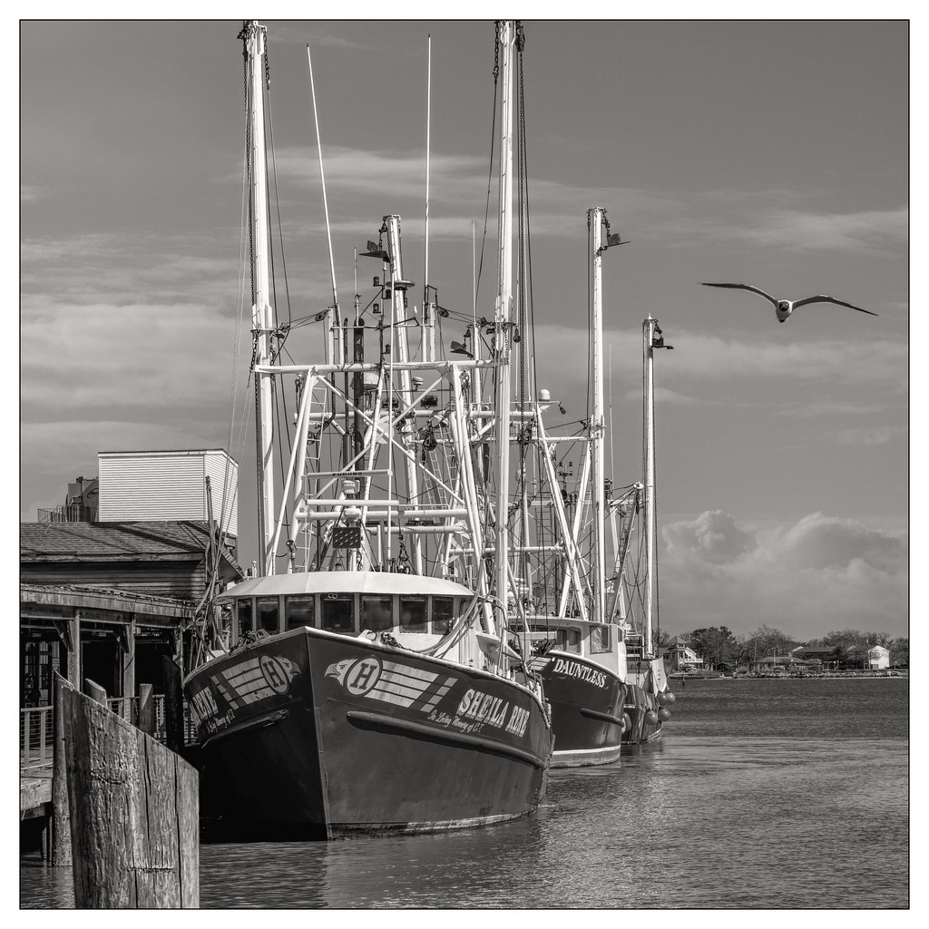 Fishing Boats Cape May Fabian Canaval Flickr