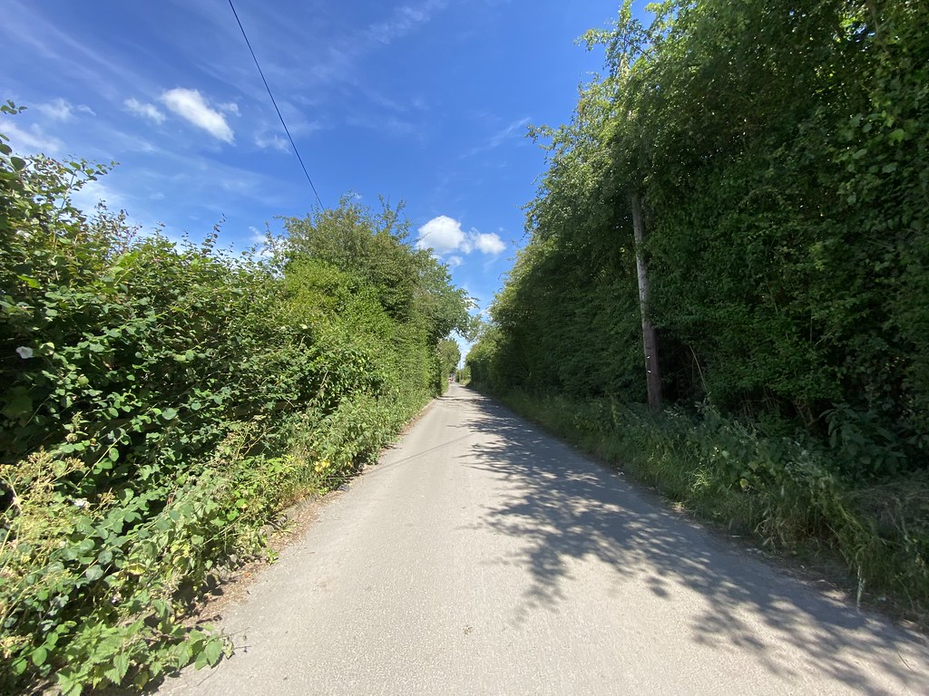 Winery lane, waltonledale 21.06.2022 Winery lane, walton… Flickr