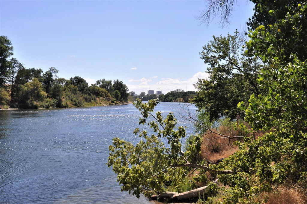 American River Sacramento and American River, 17 June 2022… Flickr
