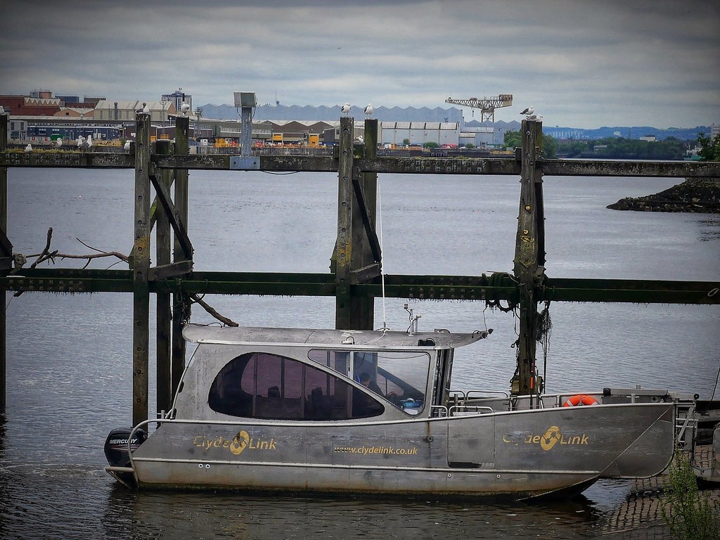 Renfrew Ferry and Gulls at Rest. Renfrew, Scotland. Lookin… Flickr