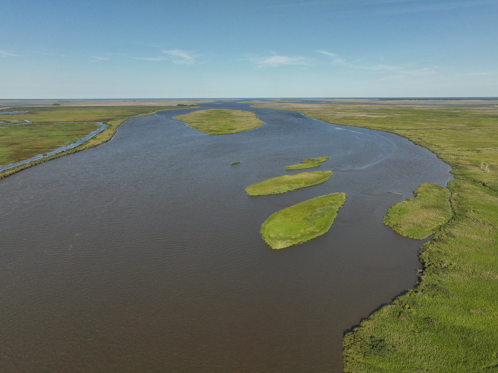 Altamaha River, Altamaha Wildlife Management Area, McIntos… Flickr