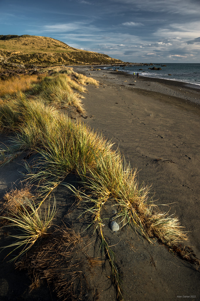 Coasting... A relaxing dawdle along the Wainui Coast today… Flickr