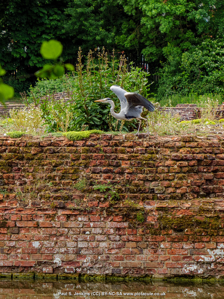 P1000582 Kirby Muxloe Castle, English Heritage Paul Jenkins Flickr