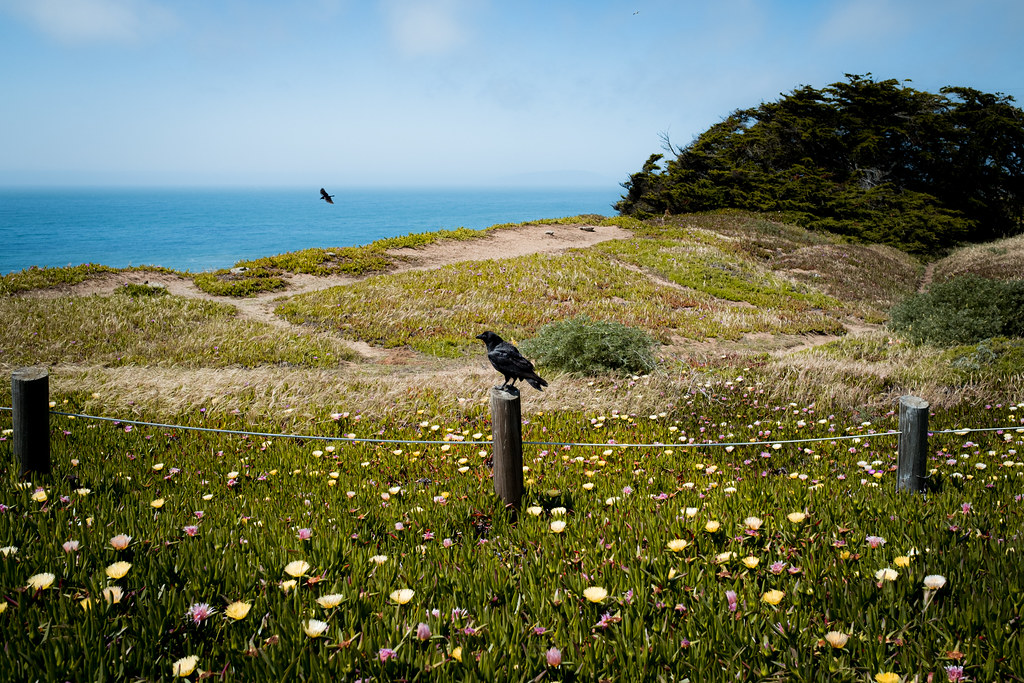 Thornton State Beach, Daly City 4/25/22 a photo on Flickriver