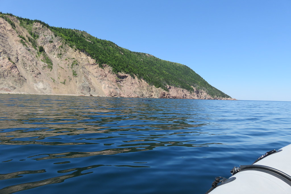Ingonish Beach Whale Watching Tour Cape Breton Island Flickr