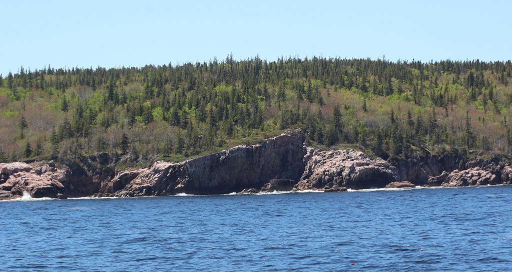 Ingonish Beach Whale Watching Tour Cape Breton Island Flickr