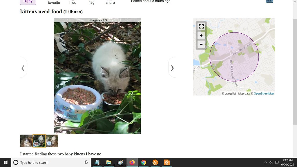 Craigslist Ad The craigslist ad I responded to when I resc… Flickr