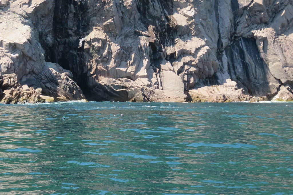 Ingonish Beach Whale Watching Tour Cape Breton Island Flickr