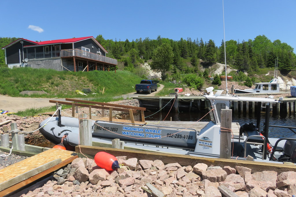 Ingonish Beach Whale Watching Tour Cape Breton Island Flickr