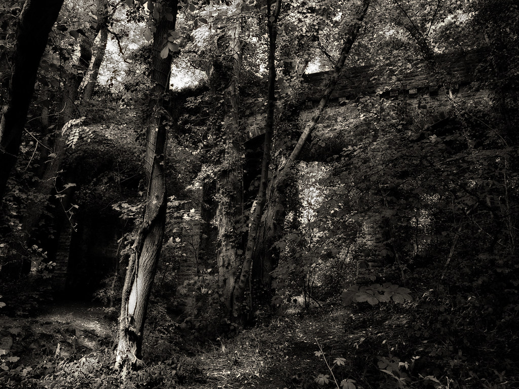 Grace Dieu Viaduct Martin Wilson Flickr